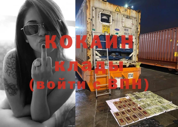 гидра Кинешма