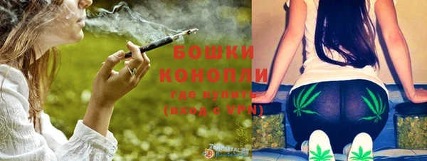 гидра Кинешма