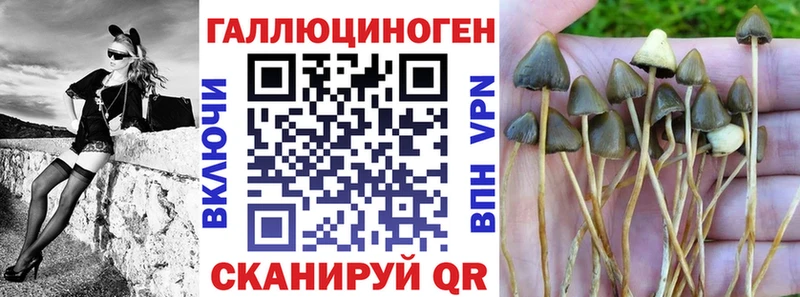 Псилоцибиновые грибы мухоморы  Октябрьский 