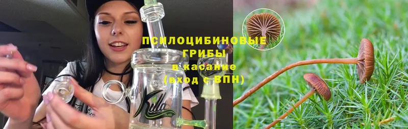 Галлюциногенные грибы Cubensis  где найти   Октябрьский 